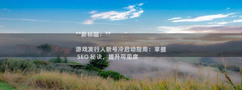 天辰平台你的专属平台：**新标题：**

游戏发行人新号冷启动指南：掌握
 SEO 秘诀，提升可见度